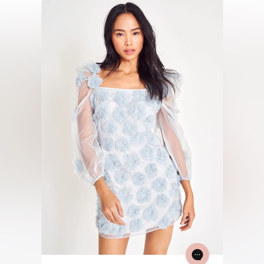 NEW LOVESHACKFANCY wells dress in glacier blue size 10